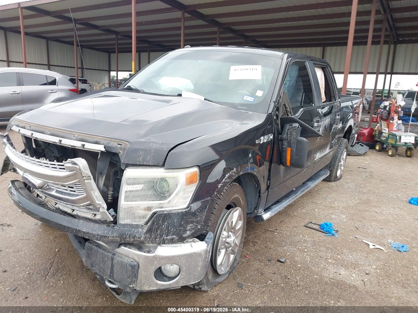 2014 FORD F-150 TRUCK 5.0L V-8 DOHC, VVT, 360HP