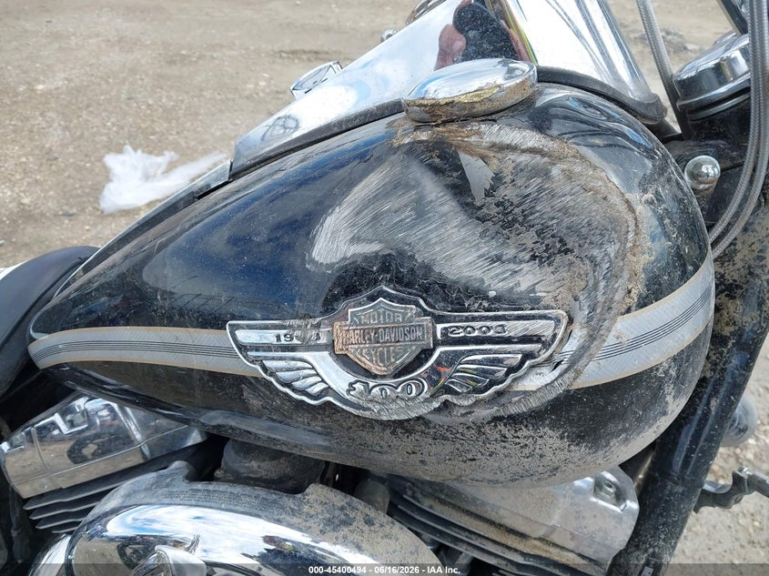 2003 Harley-Davidson Fxdwg VIN: 1HD1GEV153K322803 Lot: 45400494