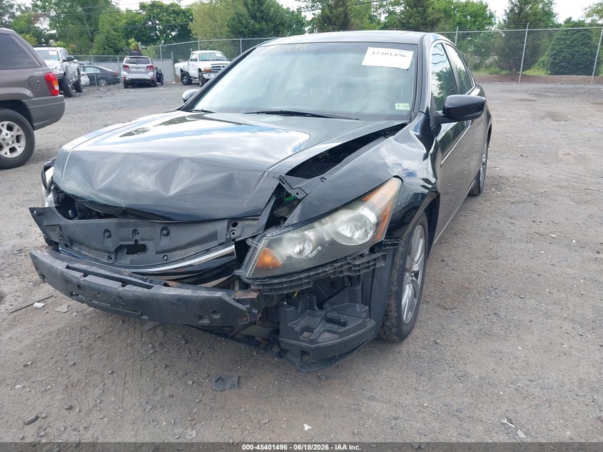 AtlanticExpress - Honda Accord