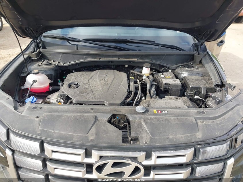 2025 Hyundai Santa Cruz Se VIN: 5NTJA4DE8SH150282 Lot: 45403162