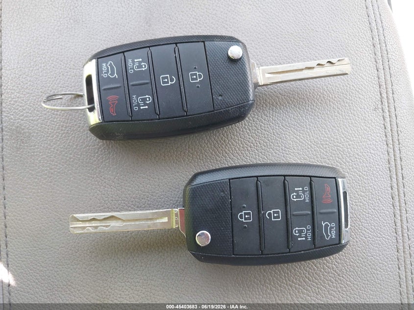 2021 Kia Sedona Lx VIN: KNDMB5C13M6667645 Lot: 45403683