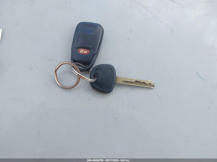 Nuotrauka 11