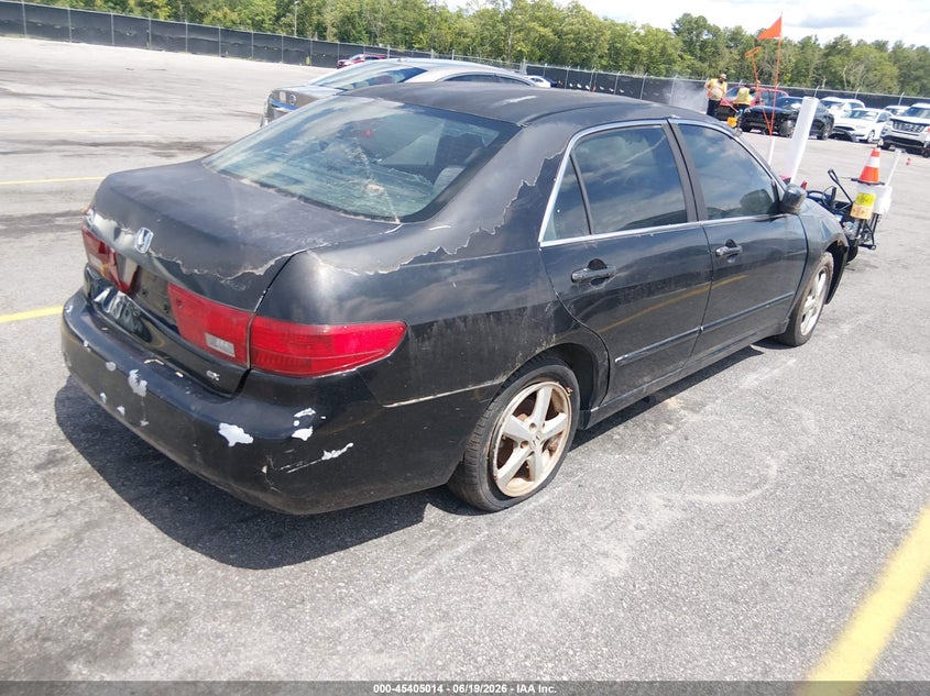 AtlanticExpress - Honda Accord