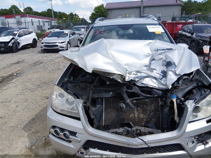 2010 Mercedes-Benz Gl 450 4Matic VIN: 4JGBF7BE8AA619073 Lot: 45406293