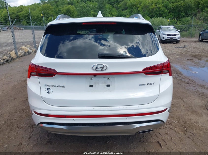 2023 Hyundai Santa Fe Calligraphy VIN: 5NMS5DAL7PH629226 Lot: 45406338