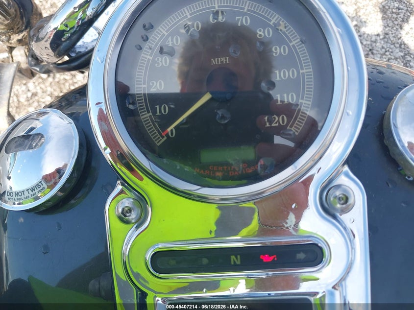 2005 Harley-Davidson Fxdwgi VIN: 1HD1GPW185K329760 Lot: 45407214