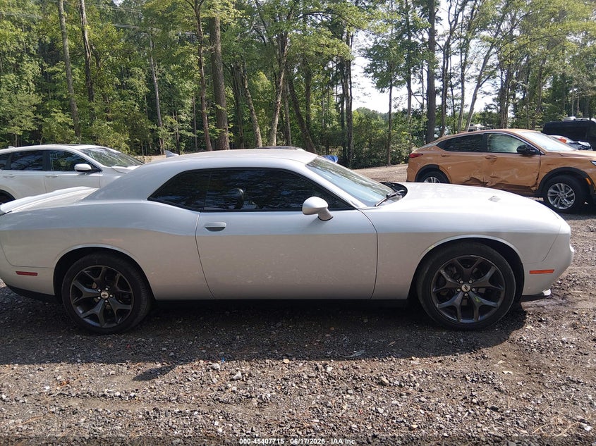 2019 Dodge Challenger Sxt VIN: 2C3CDZAG4KH751171 Lot: 45407715