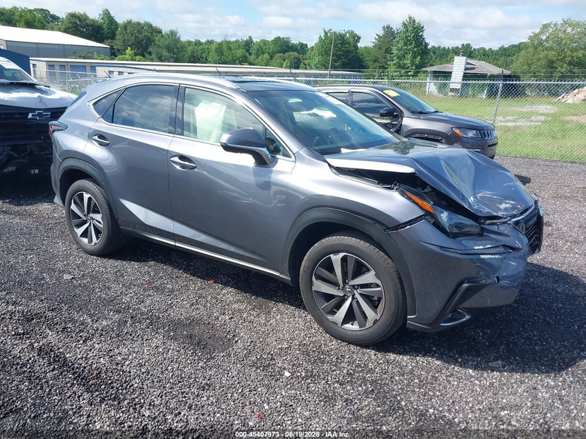 Vin: jtjyarbdxk211878 , lot: 45905995, lexus nx300 2019 img_1