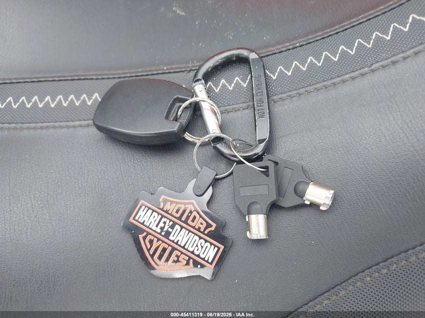 2024 Harley-Davidson Flhx VIN: 1HD1KB710RB616841 Lot: 45411319