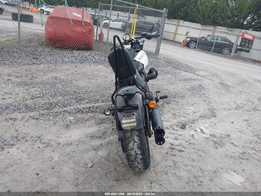 2022 Harley-Davidson Fxlrs VIN: 1HD1YWZ10NB045591 Lot: 45411365