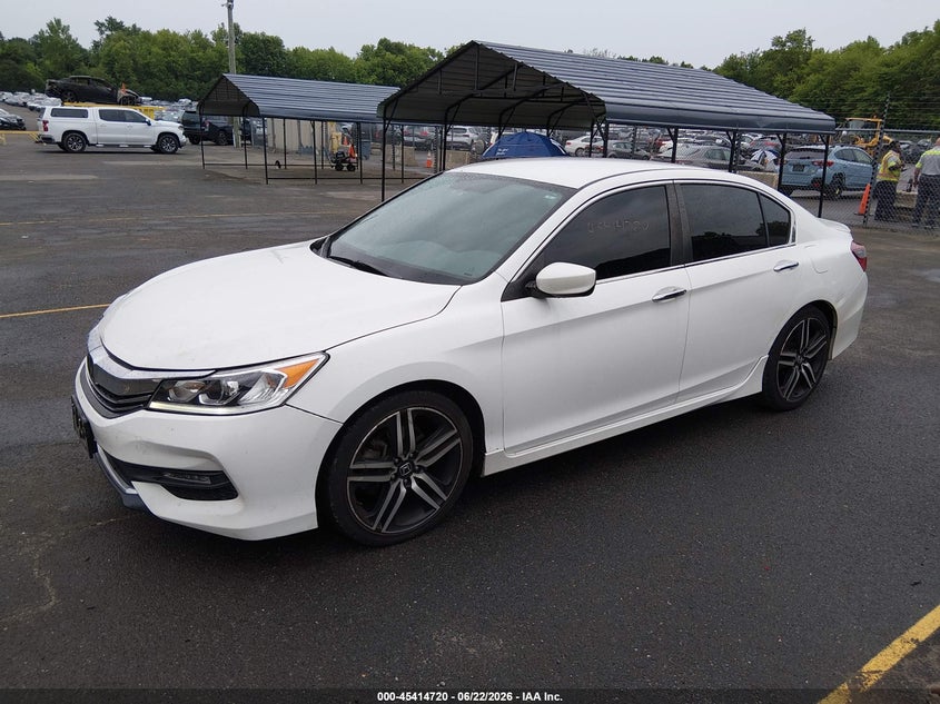 AtlanticExpress - Honda Accord
