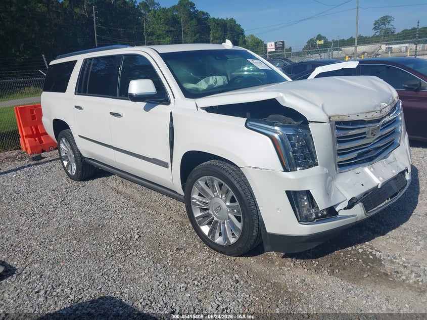 Vin: 1gys4kkj6lr160540, lot: 45913431, cadillac escalade esv platinum 2020 img_1