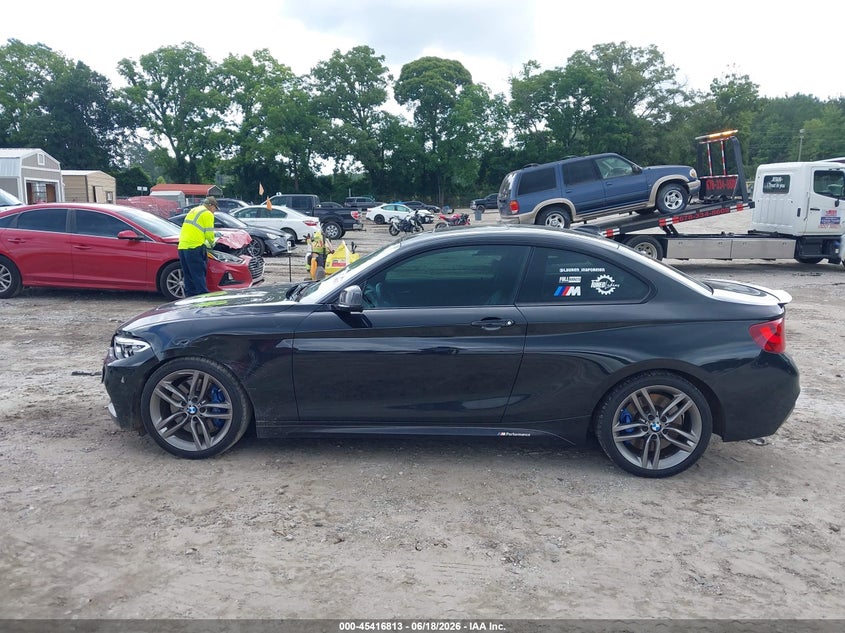 2015 BMW 228I VIN: WBA1F5C58FV257312 Lot: 45416813