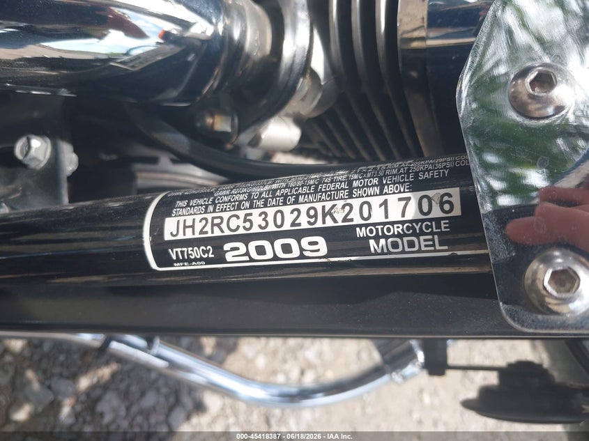 2009 Honda Vt750 C2 VIN: JH2RC53029K201706 Lot: 45418387