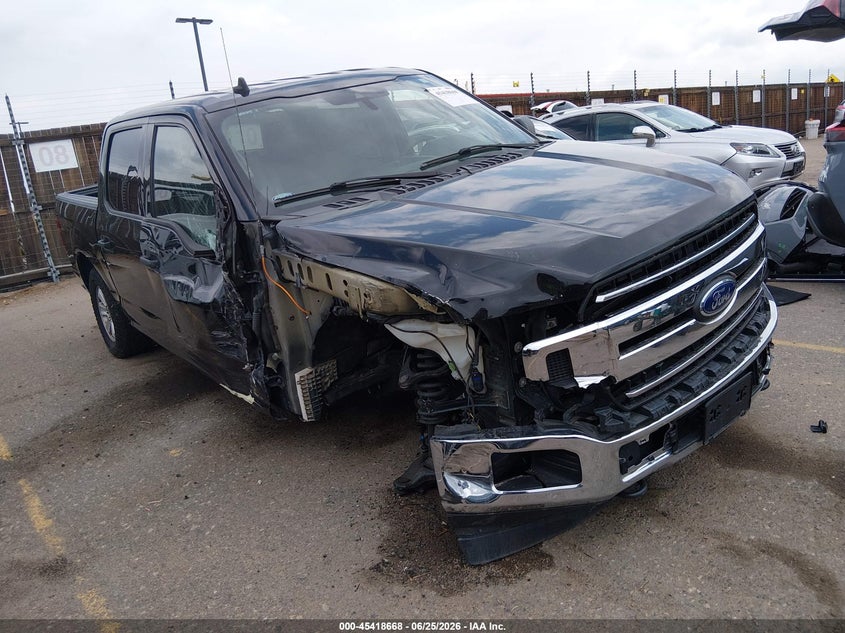 Vin: 1ftew1e40kkc53073, lot: 45916719, ford f-150 xlt 2019 img_1