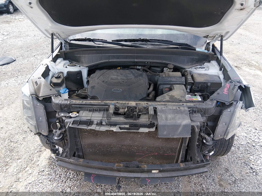 2020 Kia Telluride Ex VIN: 5XYP34HC7LG086367 Lot: 45418955
