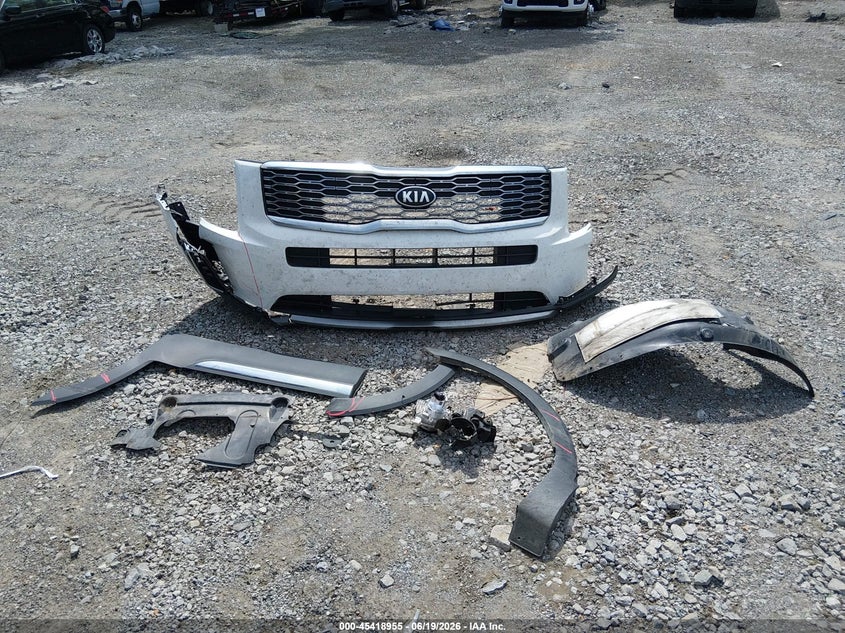 2020 Kia Telluride Ex VIN: 5XYP34HC7LG086367 Lot: 45418955