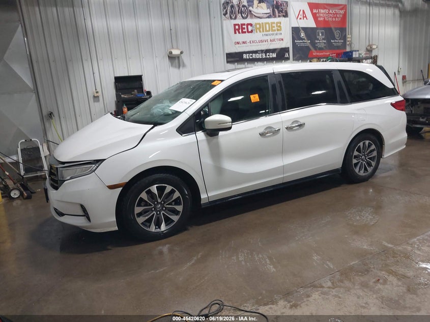 AtlanticExpress - Honda Odyssey