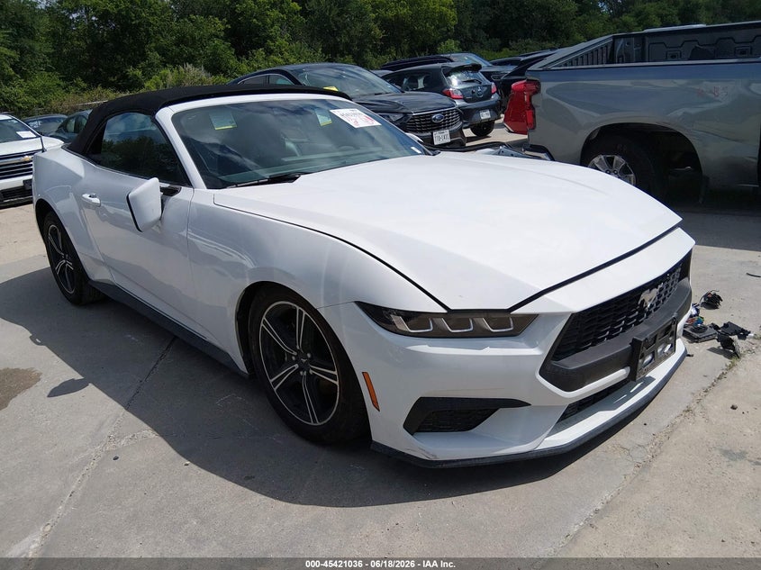 FORD MUSTANG ECOBOOST /ECOBOOST PREMIUM 2025