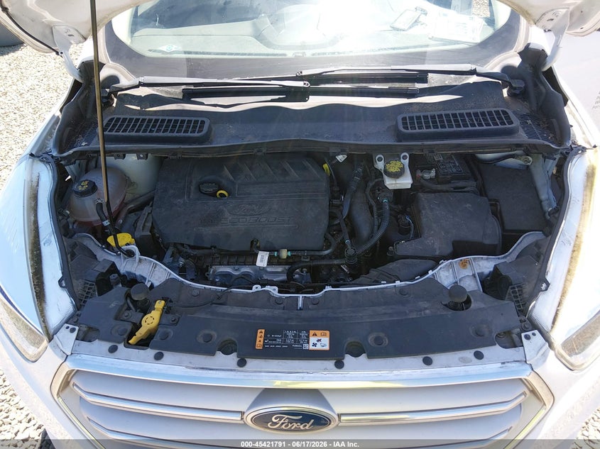 AtlanticExpress - Ford Escape