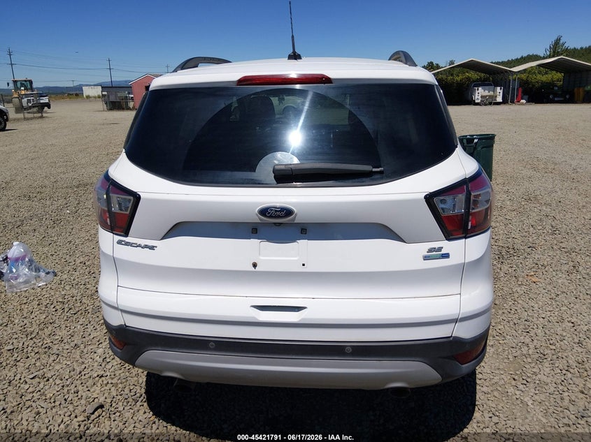 AtlanticExpress - Ford Escape