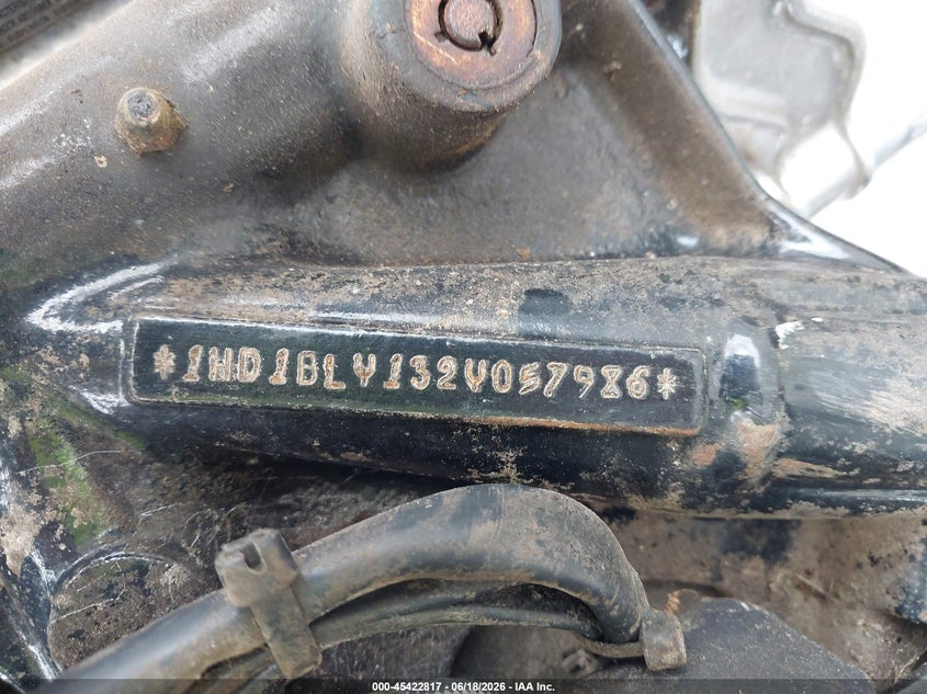 2002 Harley-Davidson Fxsts VIN: 1HD1BLY132Y057986 Lot: 45422817