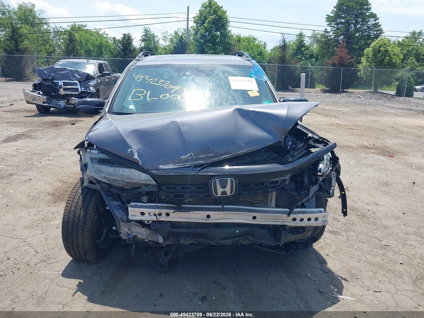 2020 Honda Passport Awd Elite VIN: 5FNYF8H00LB006035 Lot: 45423709