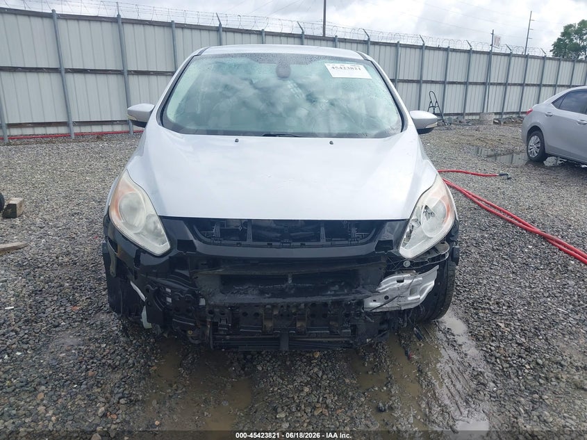 2016 Ford C-Max Hybrid Sel VIN: 1FADP5BU2GL101226 Lot: 45423821