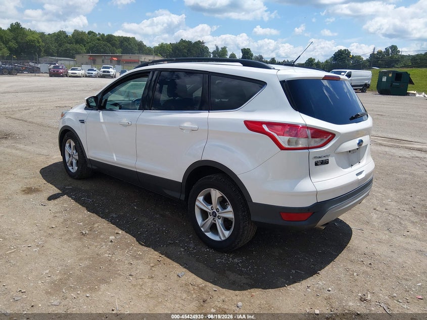 AtlanticExpress - Ford Escape