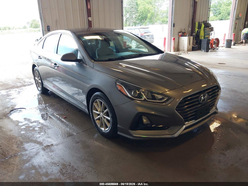 Vin: 5npe24aa3kh773954, lot: 45924603, hyundai sonata eco 2019 img_1