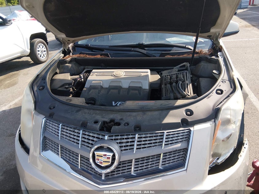 2010 Cadillac Srx Luxury Collection VIN: 3GYFNAEYXAS584721 Lot: 45429113