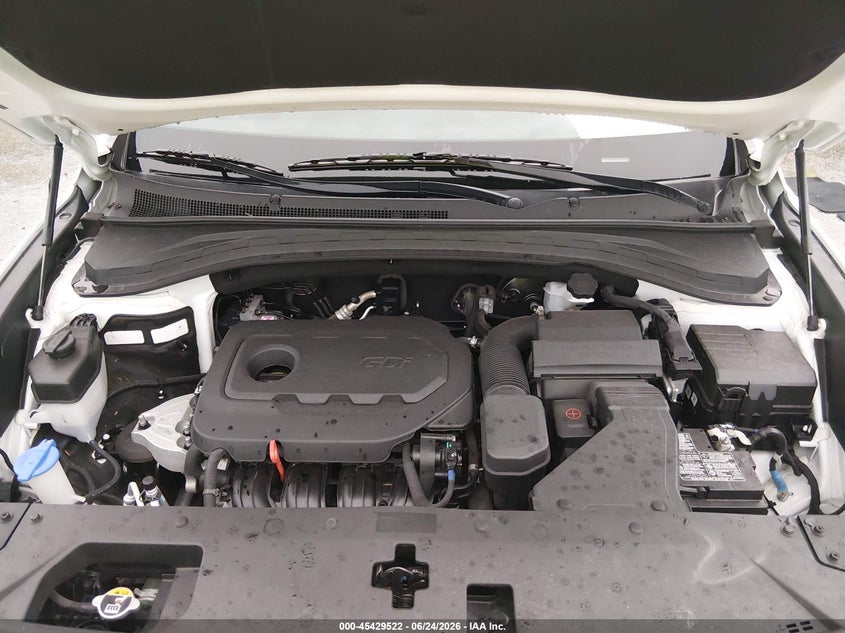 HYUNDAI SANTA FE 2020 VIN 5NMS2CAD6LH214517
