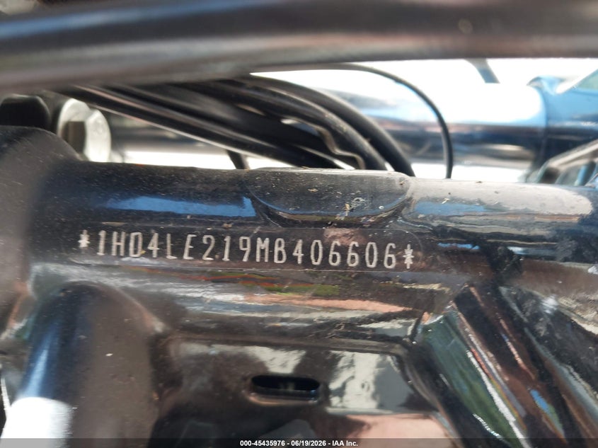 2021 Harley-Davidson Xl883 N VIN: 1HD4LE219MB406606 Lot: 45435976