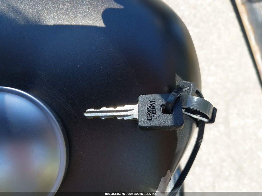 2021 Harley-Davidson Xl883 N VIN: 1HD4LE219MB406606 Lot: 45435976