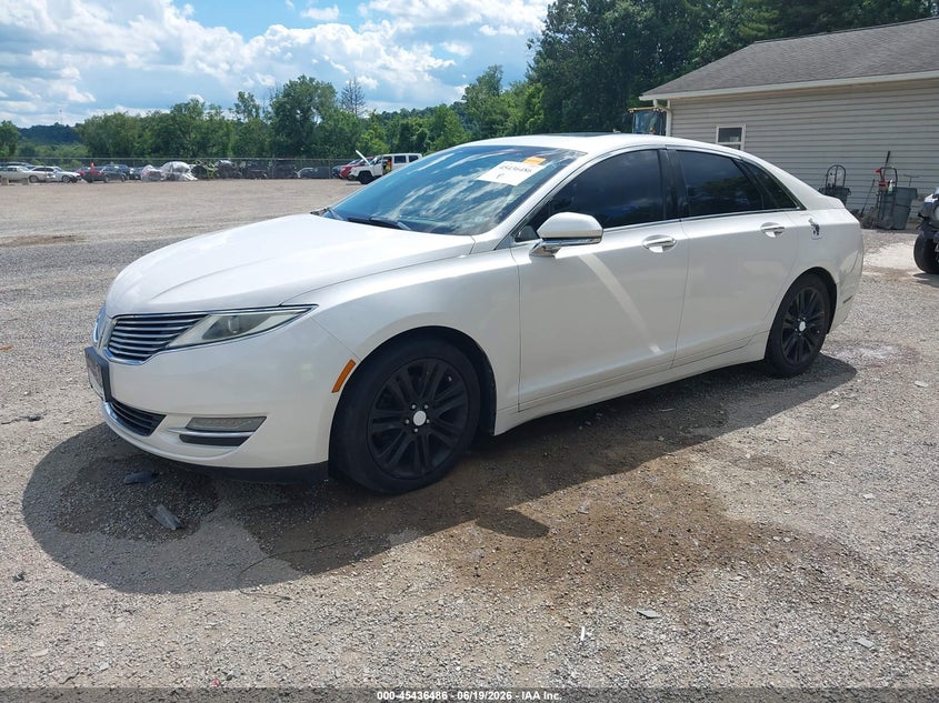 AtlanticExpress - Lincoln MKZ