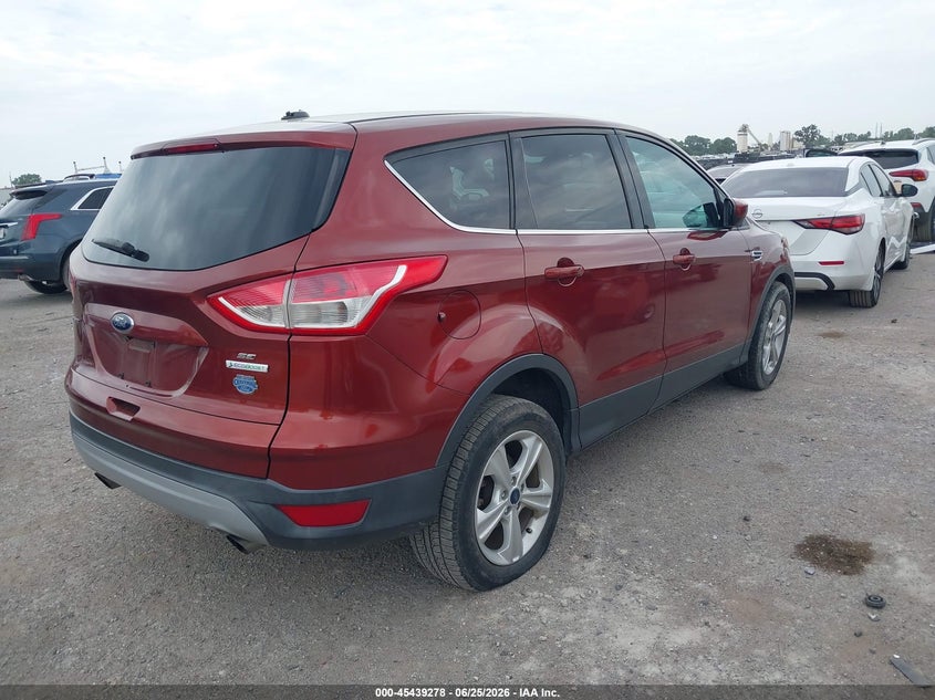 AtlanticExpress - Ford Escape