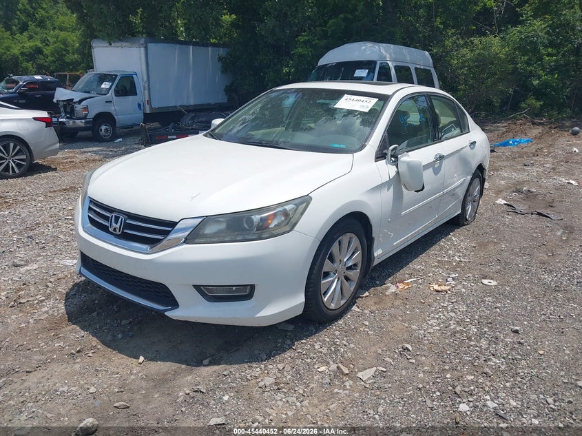 AtlanticExpress - Honda Accord