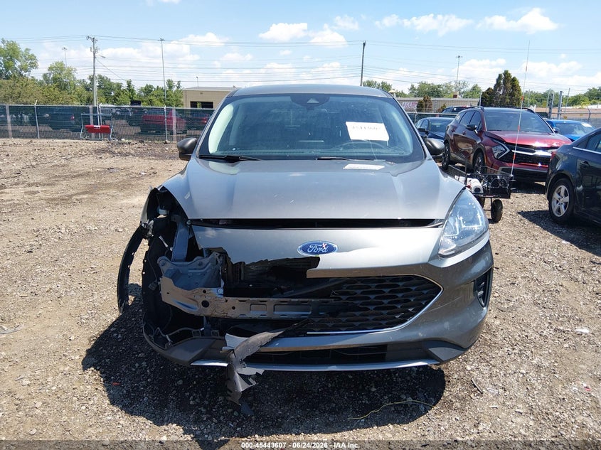 AtlanticExpress - Ford Escape