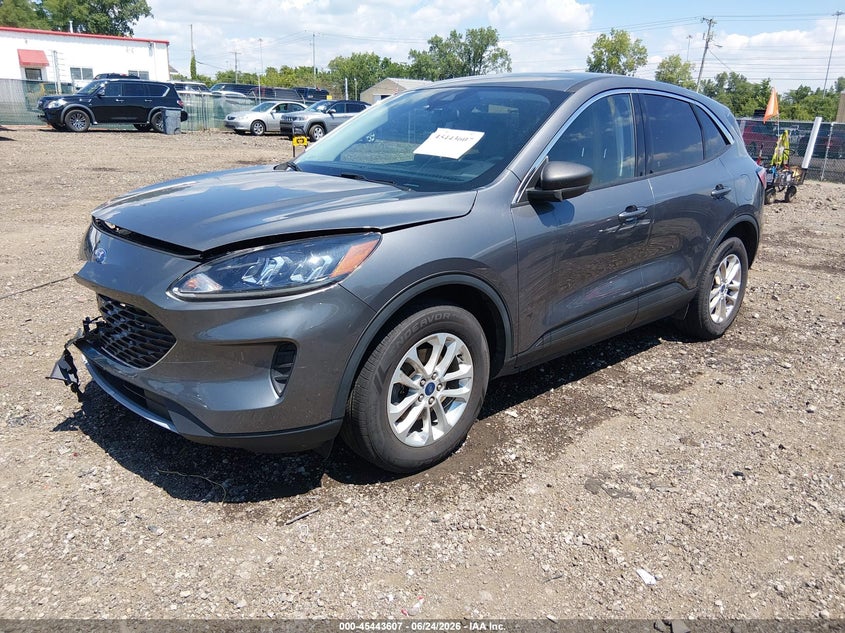 AtlanticExpress - Ford Escape