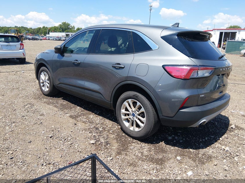 AtlanticExpress - Ford Escape