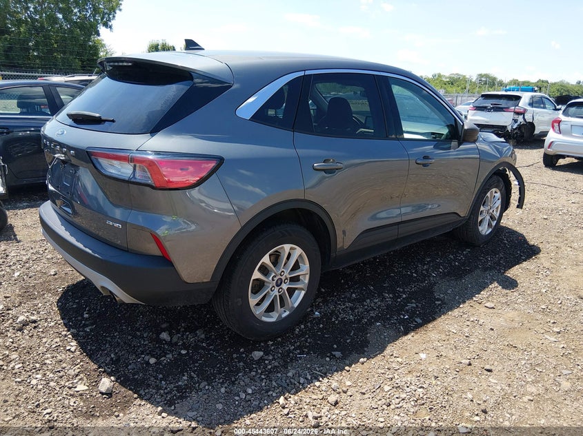 AtlanticExpress - Ford Escape