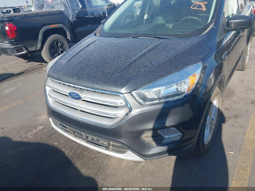 AtlanticExpress - Ford Escape