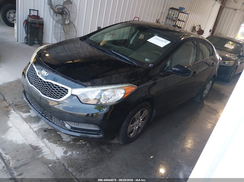 AtlanticExpress - Kia Forte