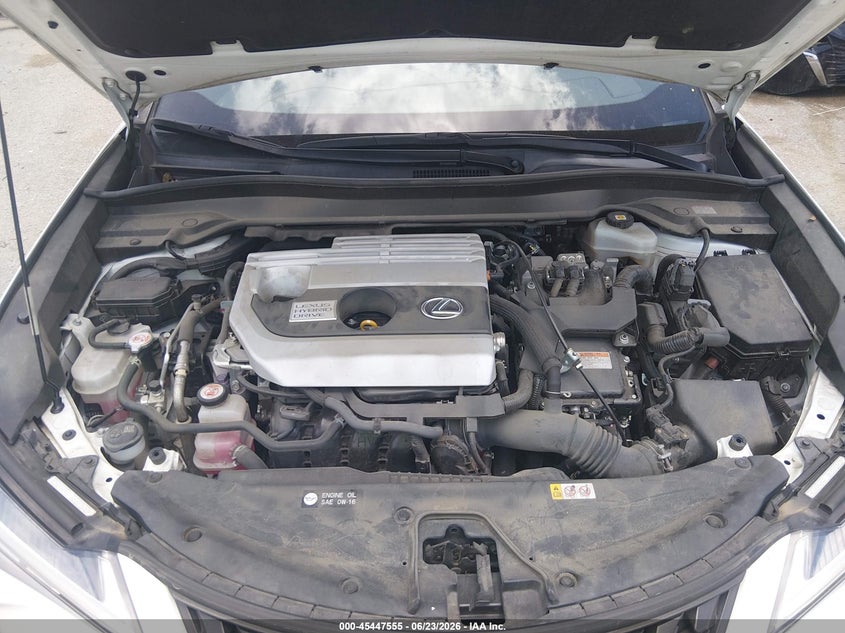 2020 Lexus Ux 250H VIN: JTHP9JBH5L2032611 Lot: 45447555