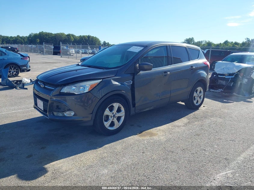 AtlanticExpress - Ford Escape