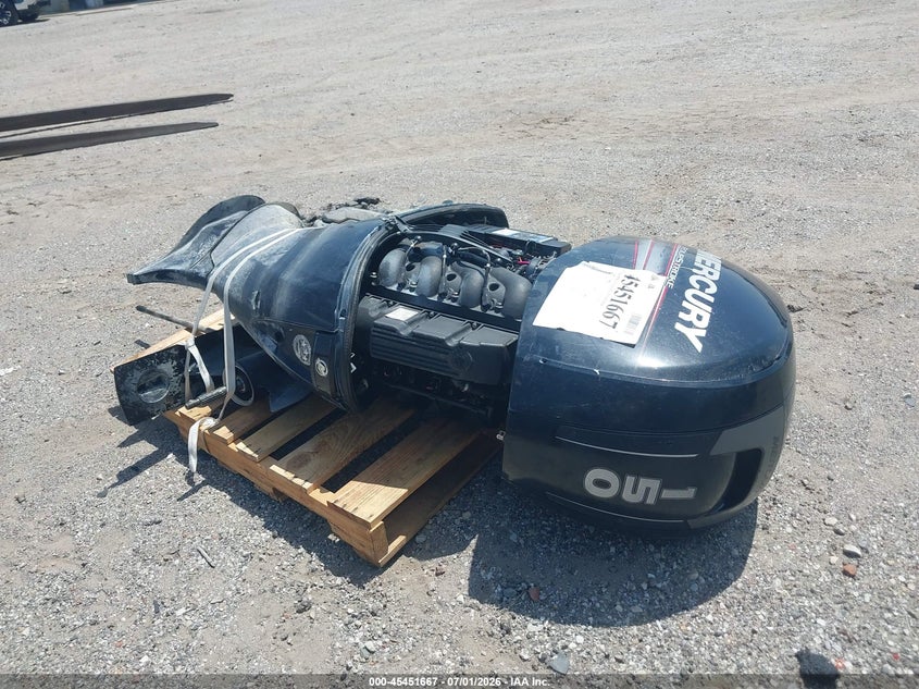 2019 Mercury Motor