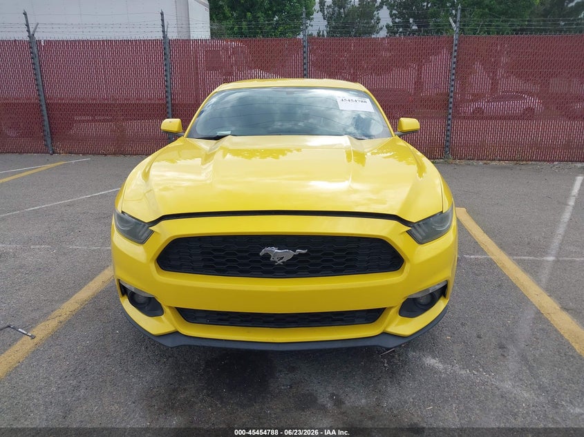 AtlanticExpress - Ford Mustang