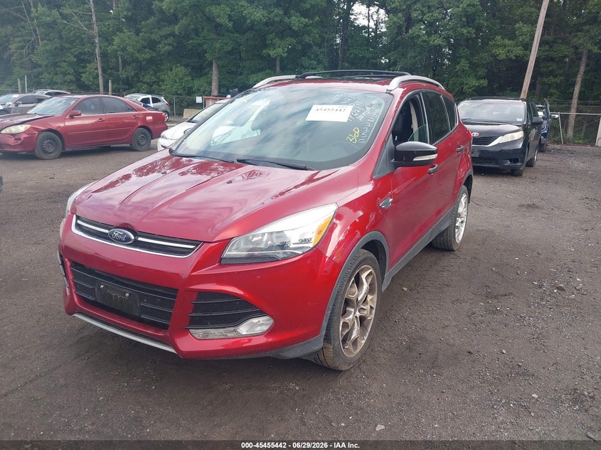 AtlanticExpress - Ford Escape