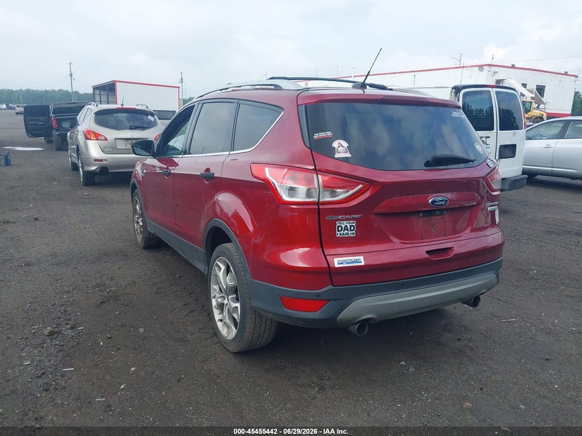 AtlanticExpress - Ford Escape