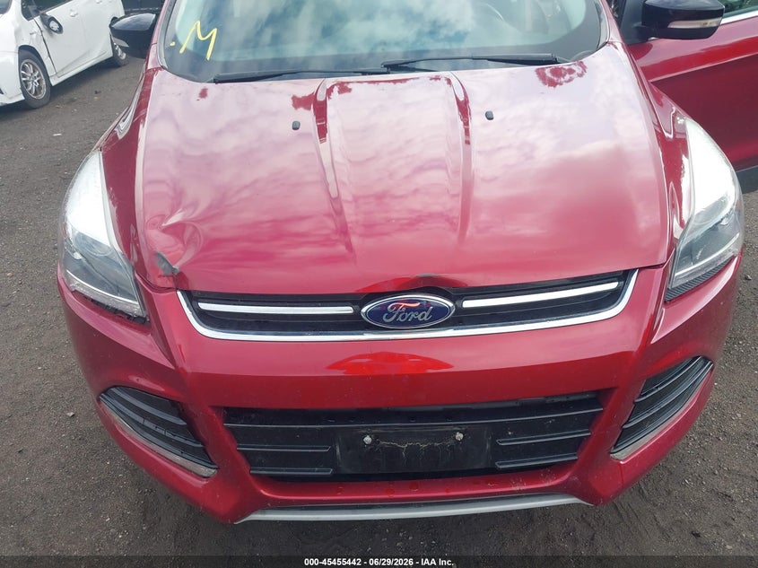 AtlanticExpress - Ford Escape